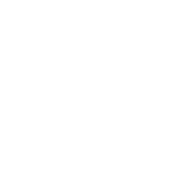 Das weiße Logo von Thai Life Massage Velbert auf transparentem Hintergrund, das die elegante und professionelle Identität der Massagepraxis widerspiegelt